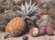 John Sherrin A Pineapple,a Peach and Plums on a mossy Bank (mk37) oil painting on canvas